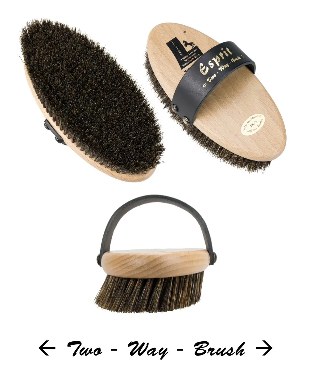 Esprit Horse Brush (all-round deep clean) | Leistner