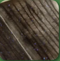 Hemingway Peacock Dubbing Brush
